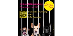 vorlage_dekonditionierung_zeichenflche_1