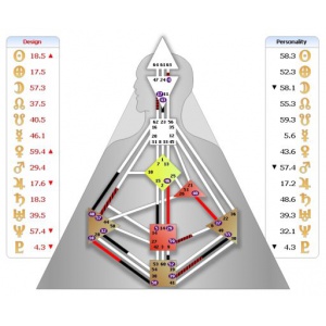 Einführung in die Variablen – PHS und Rave Psychology