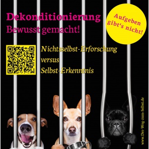 vorlage_dekonditionierung_zeichenflche_1